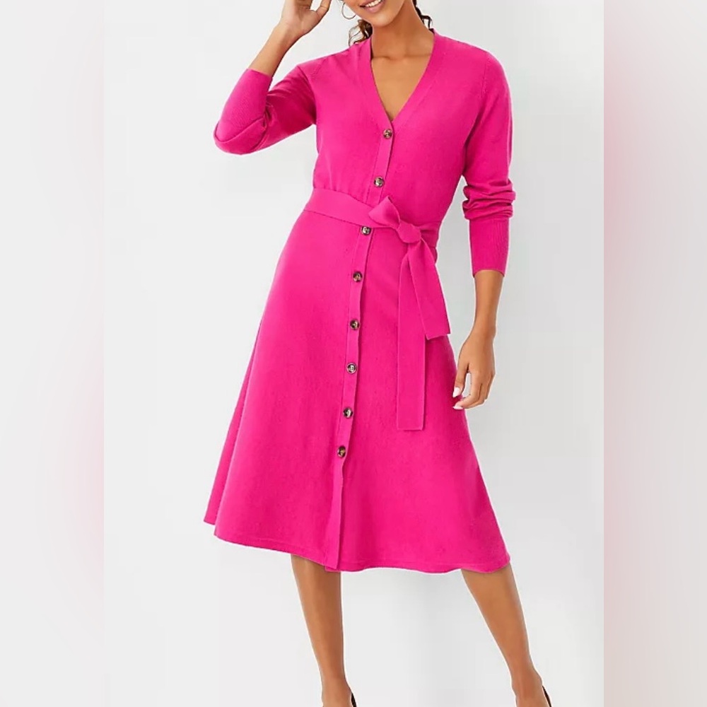 Ann Taylor Button Front Belted Flare Sweater Dress
